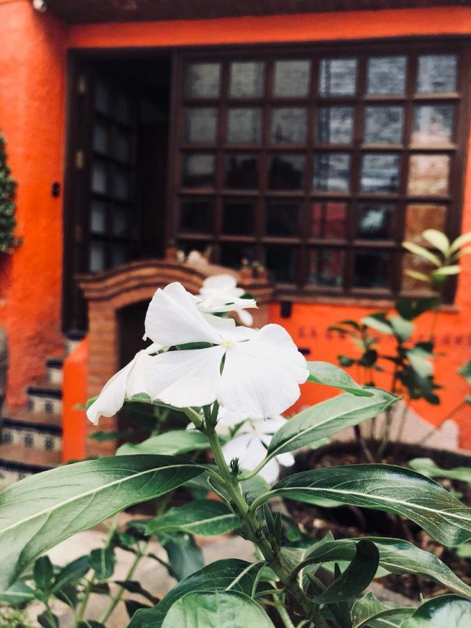 Casa Azul Hotel Guanajuato Luaran gambar